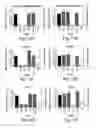 Fig. 12 - RNA sequence-specific mediators of RNA interference