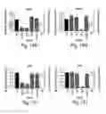 Fig. 13 - RNA sequence-specific mediators of RNA interference