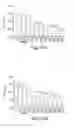 Fig. 15 - RNA sequence-specific mediators of RNA interference
