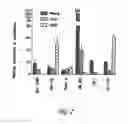 Fig. 03 - Pharmaceutical composition comprising Nanog shRNA, and method of using Nanog shRNA to treat cancer