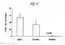 Fig. 07 - Pharmaceutical composition comprising Nanog shRNA, and method of using Nanog shRNA to treat cancer