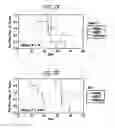 Fig. 08 - Pharmaceutical composition comprising Nanog shRNA, and method of using Nanog shRNA to treat cancer