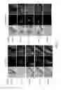 Fig. 12 - Pharmaceutical composition comprising Nanog shRNA, and method of using Nanog shRNA to treat cancer