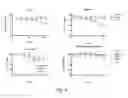 Fig. 17 - Pharmaceutical composition comprising Nanog shRNA, and method of using Nanog shRNA to treat cancer