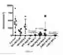 Fig. 19 - Pharmaceutical composition comprising Nanog shRNA, and method of using Nanog shRNA to treat cancer