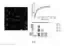Fig. 18 - CD7 receptor aptamers