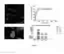 Fig. 19 - CD7 receptor aptamers