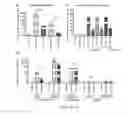 Fig. 05 - Aptamer-guided gene targeting