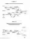 Fig. 02 - Regulating alkaloids