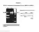 Fig. 05 - Regulating alkaloids