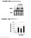 Fig. 11 - Regulating alkaloids