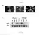 Fig. 02 - Gene IbENOD93 and transgenic plants using the same
