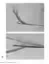 Fig. 06 - Nucleic acid imparting high-yielding property to plant, method for producing transgenic plant with increased yield, and method for increasing plant yield