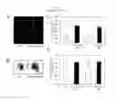 Fig. 06 - Method of increasing photosynthesis and yield of plants