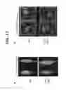 Fig. 19 - Controlling fungal pathogens by disabling their small RNA pathways using RNAi-based strategy
