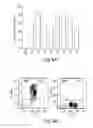 Fig. 17 - COMPOSITIONS AND METHODS FOR REPROGRAMMING HEMATOPOIETIC STEM CELL LINEAGES