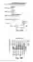 Fig. 33 - COMPOSITIONS AND METHODS FOR REPROGRAMMING HEMATOPOIETIC STEM CELL LINEAGES