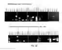 Fig. 55 - COMPOSITIONS AND METHODS FOR REPROGRAMMING HEMATOPOIETIC STEM CELL LINEAGES
