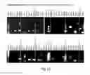 Fig. 58 - COMPOSITIONS AND METHODS FOR REPROGRAMMING HEMATOPOIETIC STEM CELL LINEAGES