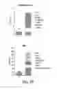 Fig. 65 - COMPOSITIONS AND METHODS FOR REPROGRAMMING HEMATOPOIETIC STEM CELL LINEAGES