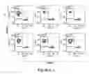 Fig. 74 - COMPOSITIONS AND METHODS FOR REPROGRAMMING HEMATOPOIETIC STEM CELL LINEAGES