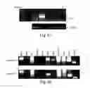 Fig. 77 - COMPOSITIONS AND METHODS FOR REPROGRAMMING HEMATOPOIETIC STEM CELL LINEAGES