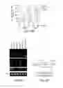Fig. 96 - COMPOSITIONS AND METHODS FOR REPROGRAMMING HEMATOPOIETIC STEM CELL LINEAGES