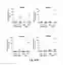 Fig. 99 - COMPOSITIONS AND METHODS FOR REPROGRAMMING HEMATOPOIETIC STEM CELL LINEAGES