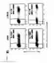 Fig. 10 - Insulator to improve gene transfer vectors