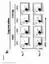 Fig. 13 - Insulator to improve gene transfer vectors