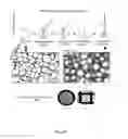 Fig. 05 - Non-liposomal systems for nucleic acid delivery