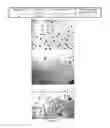 Fig. 14 - Non-liposomal systems for nucleic acid delivery