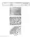 Fig. 15 - Non-liposomal systems for nucleic acid delivery