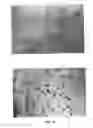 Fig. 17 - Non-liposomal systems for nucleic acid delivery