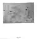 Fig. 19 - Non-liposomal systems for nucleic acid delivery