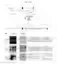 Fig. 02 - Methods of nuclease-based genetic engineering