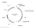 Fig. 03 - Recombinant microorganisms for enhanced production of mevalonate, isoprene, and isoprenoids