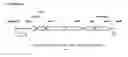 Fig. 12 - Recombinant microorganisms for enhanced production of mevalonate, isoprene, and isoprenoids
