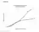 Fig. 19 - Recombinant microorganisms for enhanced production of mevalonate, isoprene, and isoprenoids