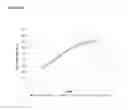 Fig. 63 - Recombinant microorganisms for enhanced production of mevalonate, isoprene, and isoprenoids
