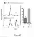 Fig. 03 - Method and compositions for improved lignocellulosic material hydrolysis