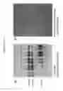 Fig. 61 - Method and compositions for improved lignocellulosic material hydrolysis