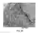 Fig. 28 - Processing biomass and petroleum containing materials