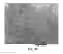 Fig. 29 - Processing biomass and petroleum containing materials