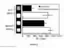 Fig. 09 - Sortase-mediated protein purification and ligation