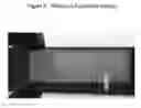 Fig. 08 - Mitrecin A polypeptide with antimicrobial activity