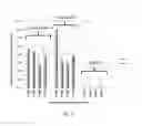 Fig. 04 - In vitro assay buffer for Cas9