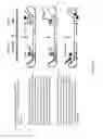 Fig. 14 - Method for relative quantification of changes in DNA methylation, using combined nuclease, ligation, and polymerase reactions