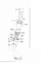 Fig. 19 - METHOD FOR IMPROVED THERMOCYCLING OF LOW VOLUME NUCLEIC ACID AMPLIFICATION REACTIONS