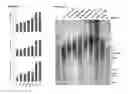 Fig. 06 - Method for single cell analysis of telomere length using pre-amplification and multiple-copy reference sequence